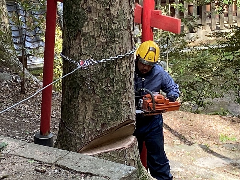 作業中